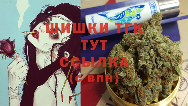 СК Новодвинск