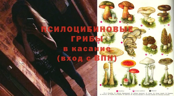 дурь Алексеевка