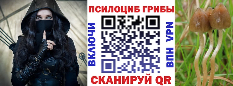 Псилоцибиновые грибы мицелий  закладка  Анива 